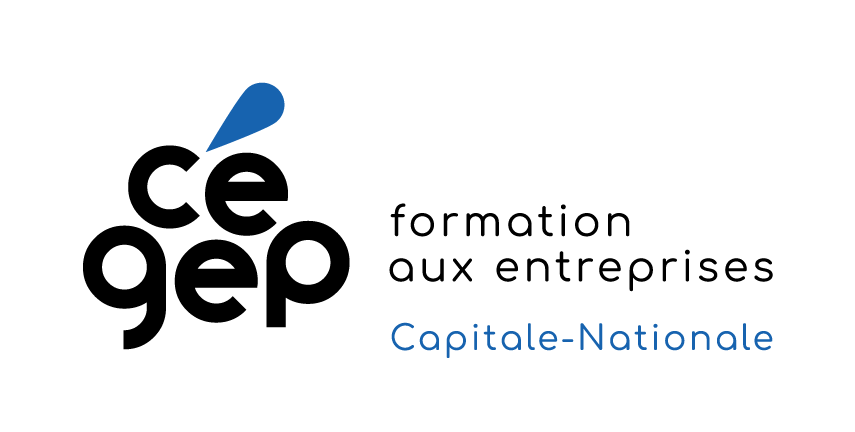 Logo Formation aux entreprises - Capitale-Nationale