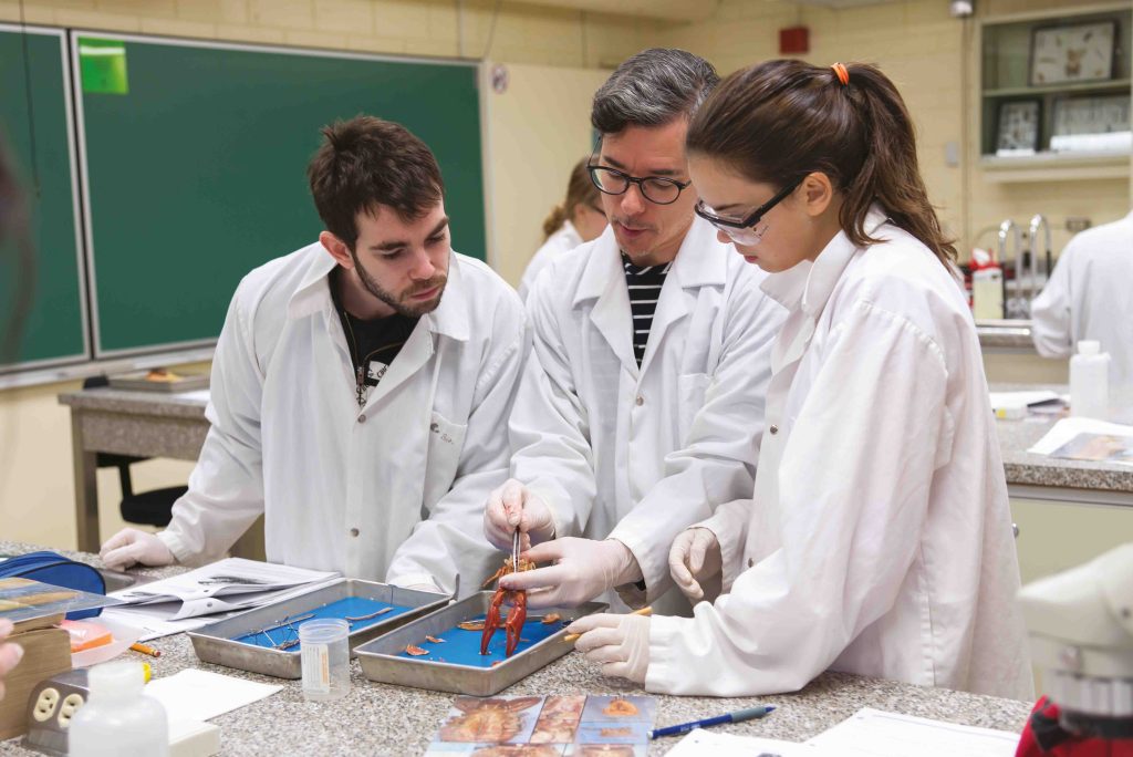 Deux étudiants en laboratoire observant attentivement l'enseignant qui analyse avec une pince un crustacé.