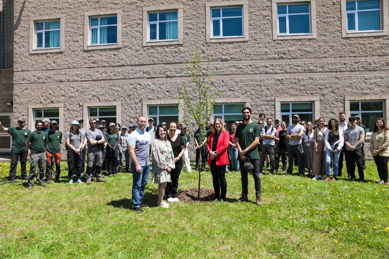Personnel du Cégep devant le campus de Charlesbourg autour d'un arbre nouvellement planté.