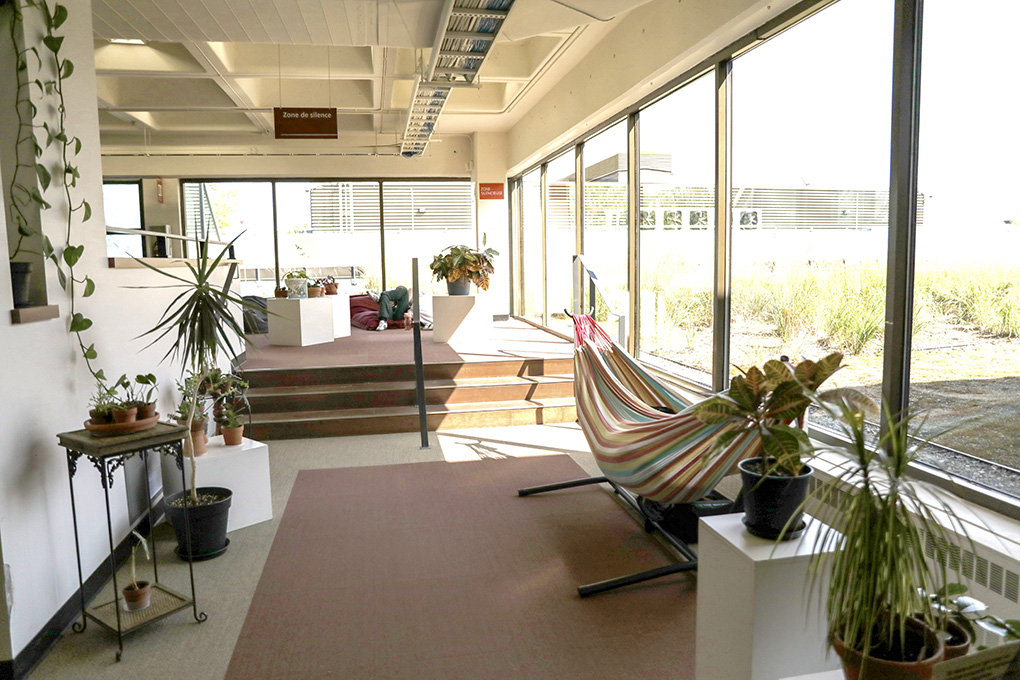 hamac dans la bibliothèque