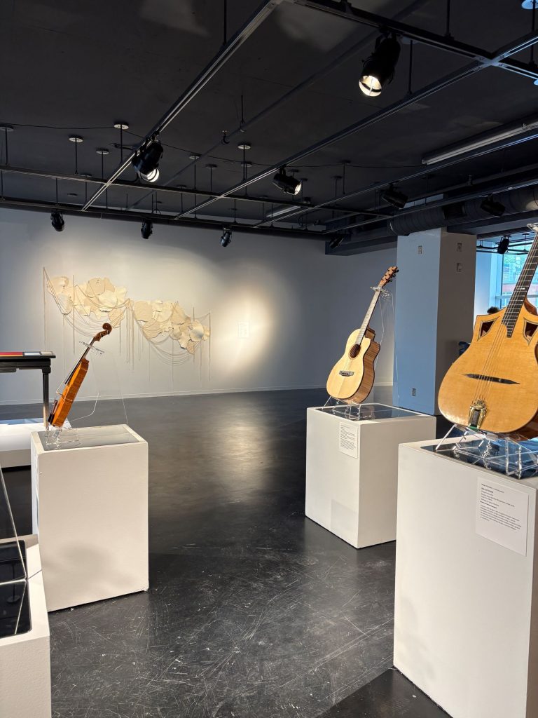 Exposition de plusieurs guitares sur des présentoires