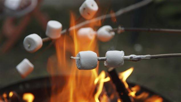 Guimauves dans un feu