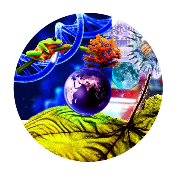 Image Forum international science société 17e édition