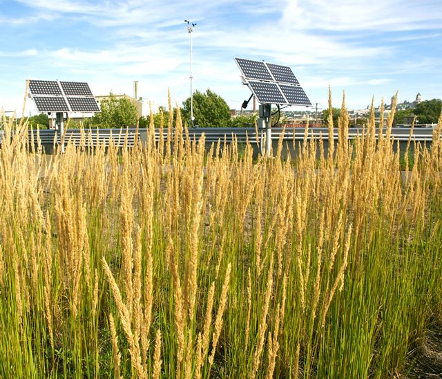 Toit vert Panneaux solaires