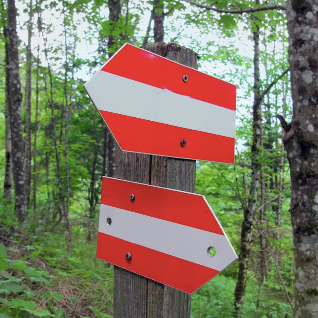 Flèches différentes directions