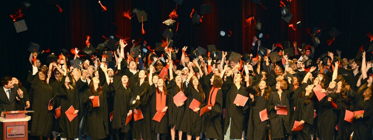 Collation des grades lancer mortier panorama