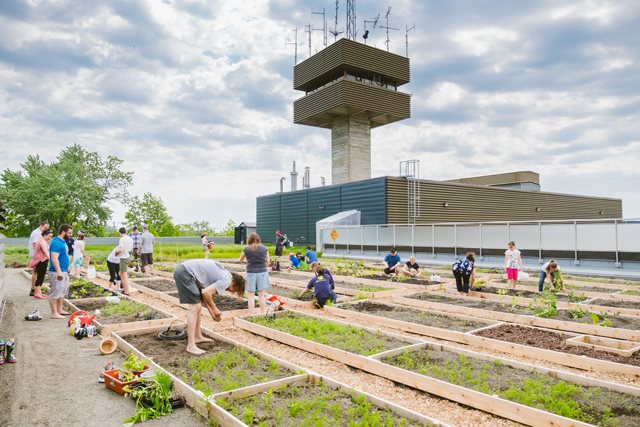 Jardins communautaires