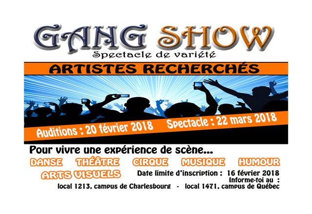 Artistes recherchés pour le Gang Show 2018