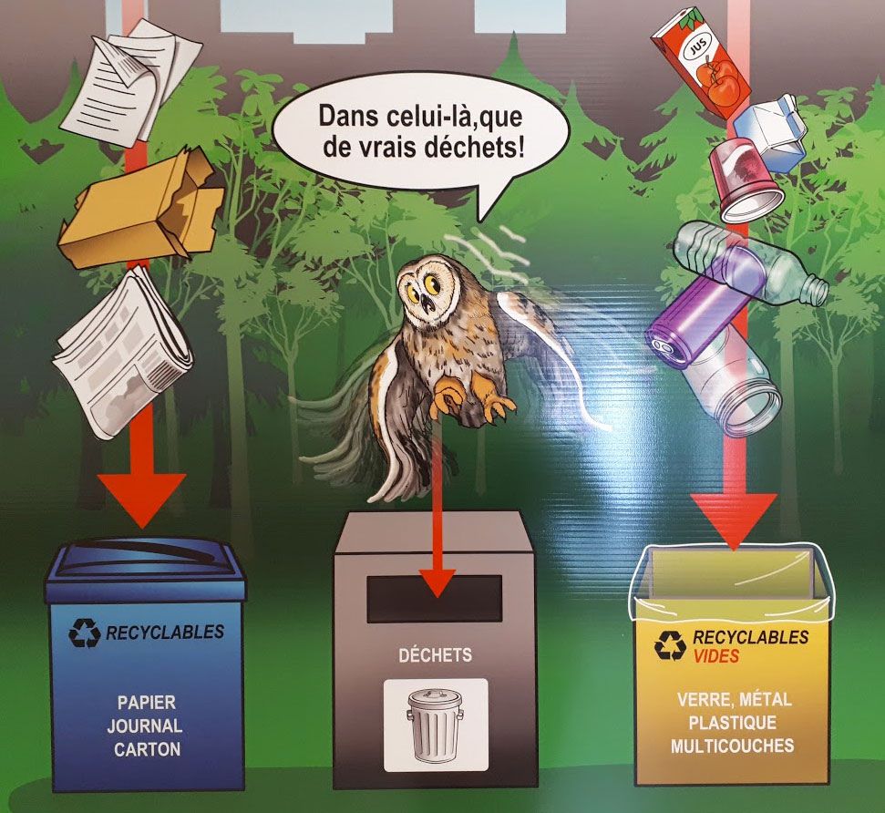 Affiche explicative sur la gestion des déchets