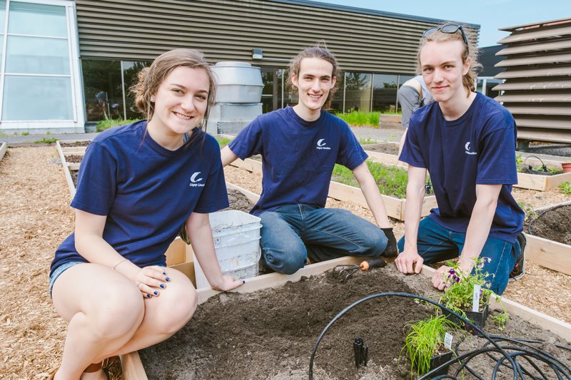 Étudiants du comité environnement sur le toit avec jardinet