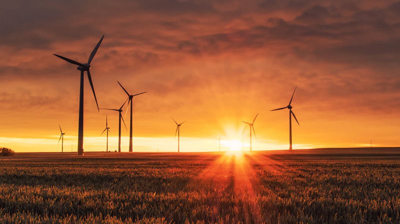 Éoliennes dans un champ devant un coucher de soleil