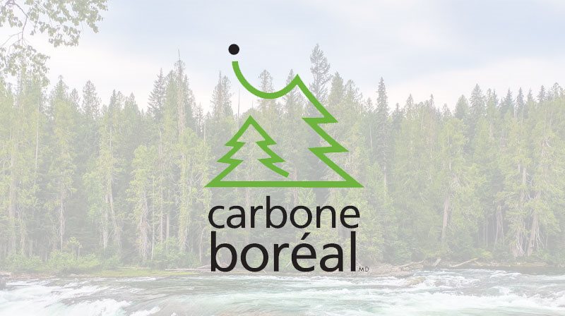 Forêt boréale et logo de Carbone boréal