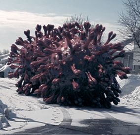 Virus géant dans une rue enneigée