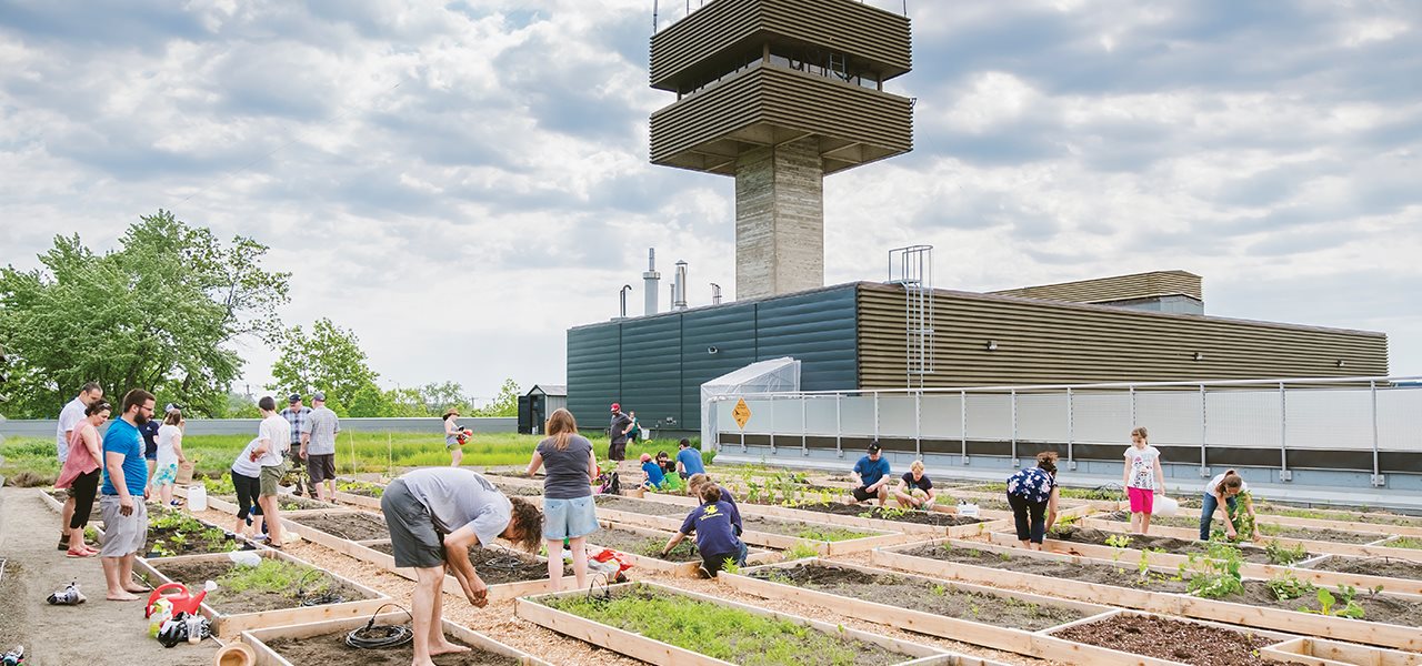 Jardinage sur le toit du campus de Québec