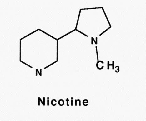 Molécule de nicotine