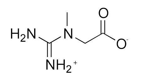 Molécule de créatine