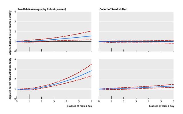 Tableau représentant les risques de fractures et de mortalité selon la consommation de lait en fonction des sexes