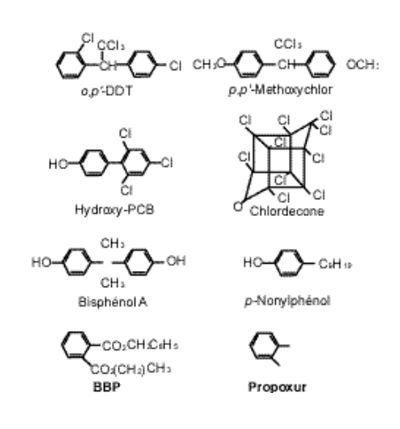 Différentes classes de xénooestrogènes