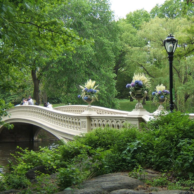 Pont dans Central Park à New York