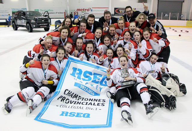Équipe de hockey 2013-2014