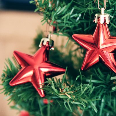 sapin et étoiles