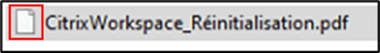 Représentation d'un fichier système avec une icône générique encadrée en rouge : [icône] Citrix_Workspace_Réinitialisation.pdf