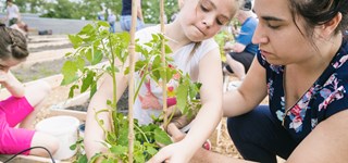 Une fillette et une femme s'occupent d'un plant de tomates dans un jardin