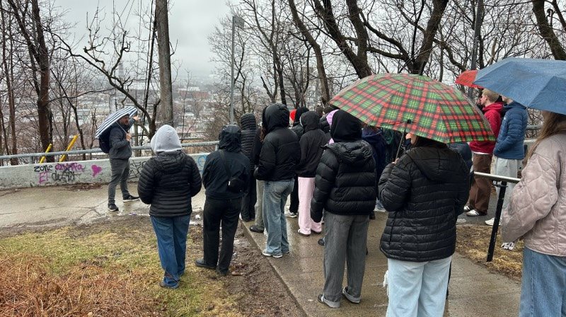 Des étudiants regardent le paysage sous des parapluies.