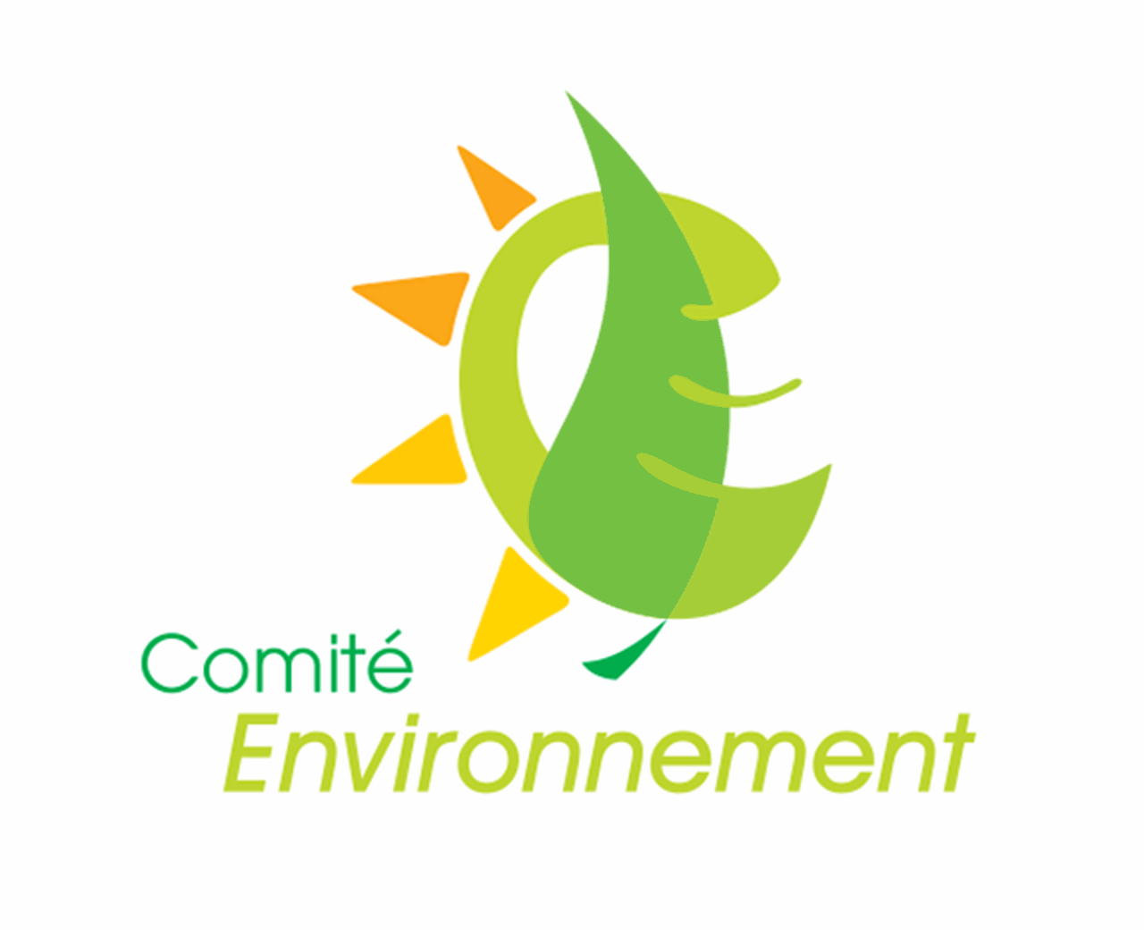 logo Comité Environnement